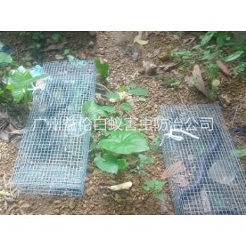 桃园上门驱蛇防蛇工程