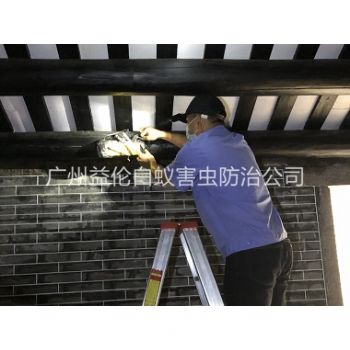 民乐祠堂杀灭白蚁工程