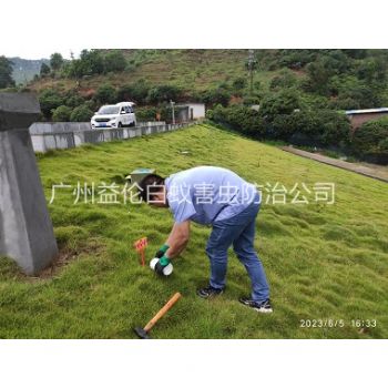 鳌头水利工程红火蚁防治