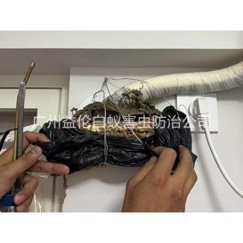 桃园房屋白蚁诱杀工程